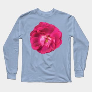 Climbing Red Rose Long Sleeve T-Shirt